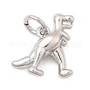 Латунь подвески KK-I364-02P-01