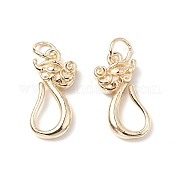 Латунные застежки-крючки с покрытием стойки KK-WH0060-06G