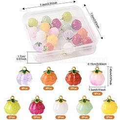 24 Stück 9 Farben Glasanhänger&nbsp;GLAA-FS0002-42