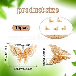 15 pièces pendentifs en laiton&nbsp;KK-NB0003-99LG