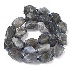 Natur Labradorit Perlen Stränge&nbsp;G-C270-F01