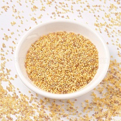 Perline miyuki delica&nbsp;SEED-X0054-DB2061