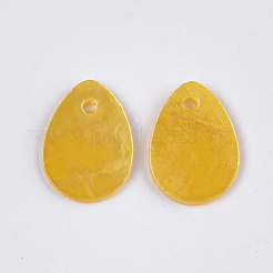 Sprühlackierte Capiz Muschel Charms&nbsp;SSHEL-T006-10B