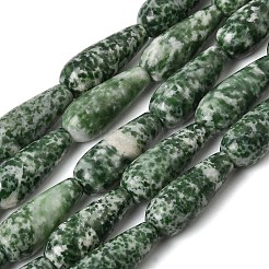 Natürliche grüne Fleck Jaspis Perlen Stränge&nbsp;GG-CBA0487-B03-8x21mm
