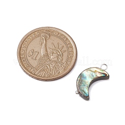 Natürliche Abalone Muschel / Paua Muschel Anhänger&nbsp;PALLOY-JF02701-02