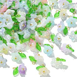 Breloques de fleurs en acrylique&nbsp;PALLOY-CJ00025
