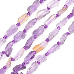 Naturperlen Stränge ametrine&nbsp;G-F821-E01-01