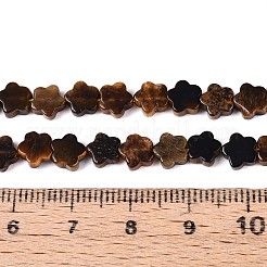 Natürlichen Tigerauge Perlen Stränge&nbsp;G-N257-24A-03