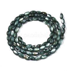 Natürlichen Süßwasser-Muschelperlen Stränge&nbsp;SHEL-N003-25-B01