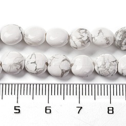 Natürliche Howlith Perlen Stränge&nbsp;G-T047-A03-01