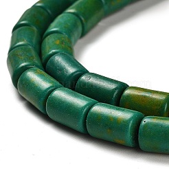 Kunsttürkisfarbenen Perlen Stränge&nbsp;G-C101-P01-01