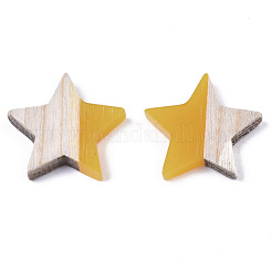 Cabochons en résine & bois&nbsp;RESI-R425-02B