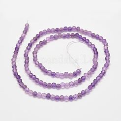 Natürlichen Amethyst Perlenstränge&nbsp;G-P279-43-3mm