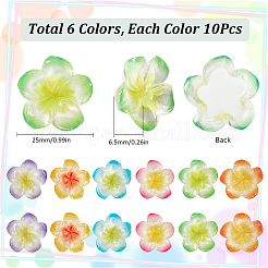 60 cabochon decoden in resina opaca a 6 colori&nbsp;RESI-SC0005-83A