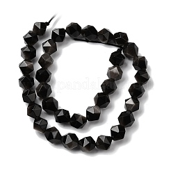 Natürliche silberne Obsidianperlenstränge&nbsp;G-Z119-A11-03