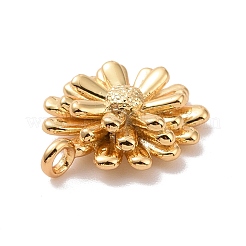 Cremagliera charms ottone placcatura&nbsp;KK-C245-04G