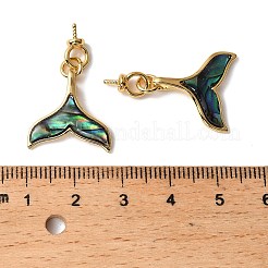 Pendentifs queue de baleine en coquillage paua naturel&nbsp;KK-G538-37G