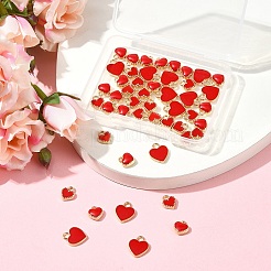 48pcs 3 Arten Legierungs-Emaille-Charms&nbsp;ENAM-FS0002-42