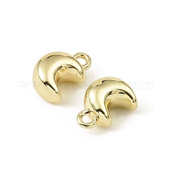Breloques en laiton&nbsp;LS-KK-C107-04A-G
