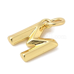 Breloques en laiton&nbsp;KK-I382-08G-M