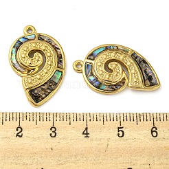 Natur Paua Muschel Anhänger&nbsp;STAS-P341-01G-01