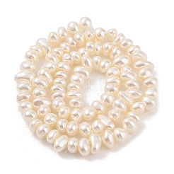 Fili di perle di conchiglie galvanizzate&nbsp;BSHE-C006-06B