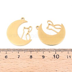 Pendentifs en acier inoxydable 304&nbsp;STAS-N108-31G