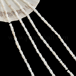 4 Strang natürliche Süßwasser-Muschelperlen&nbsp;SHEL-NB0001-52