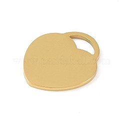 Ionenplattierung (IP) 304 Edelstahlanhänger&nbsp;STAS-N090-T857G-01