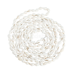 2 Strang natürliche Trompetenmuschelperlen&nbsp;SHEL-LT0001-01
