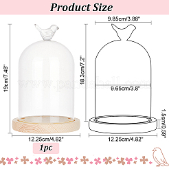 Copertura a cupola in vetro per uccelli&nbsp;AJEW-WH0323-79
