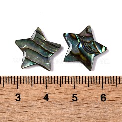 Natürliche Paua-Muschel-Epoxidharz-Cabochons&nbsp;SSHEL-S279-01F