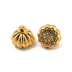 Encantos de aleación de estilo tibetano&nbsp;FIND-M011-06AG