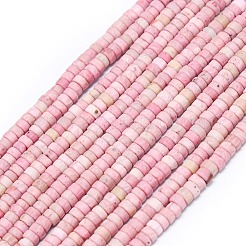Natur Rhodonit Perlen Stränge&nbsp;G-P575-B08-4x2mm