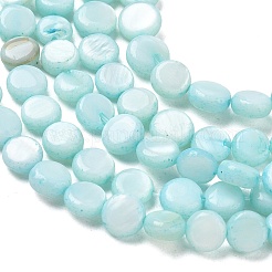 Hebras de cuentas de moneda de concha de agua dulce natural&nbsp;SH-CBACA76-17B