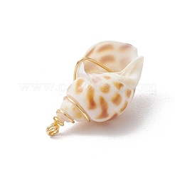 Natürliche Spirale Shell Anhänger&nbsp;PALLOY-JF03316-02