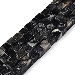 Natürliche schwarze Netzsteinperlenstränge&nbsp;G-T139-6x6-24A