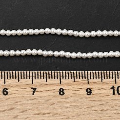 Fili di perle di conchiglie galvanizzate&nbsp;X-BSHE-K017-2mm