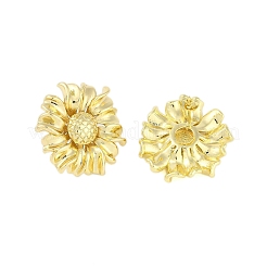 Orecchino in ottone per le donne&nbsp;EJEW-M259-03G