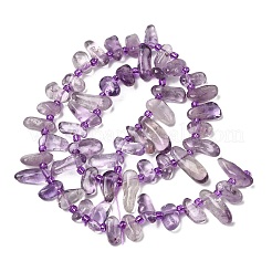 Natürlichen Amethyst Perlen Stränge&nbsp;G-L649-D05-02