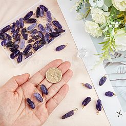 50 Stück natürliche Amethyst-Anhänger&nbsp;FIND-FH0005-16