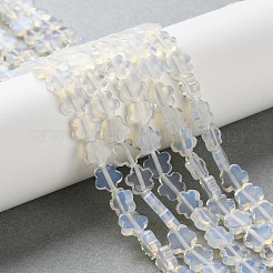 Opalit/natürlicher Bildjaspis/blauer Fleckjaspis/indischer Achat/dalmatinischer Jaspis/Unakit/Erdbeerquarzperlenstränge&nbsp;G-B138-C01-01