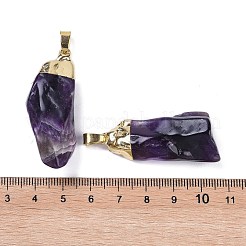 Natürlichen Amethyst Edelsteinanhänger&nbsp;KK-F868-27G