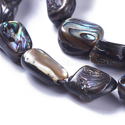 Fili di perline conchiglia naturale / conchiglia paua&nbsp;SSHEL-F303-08B