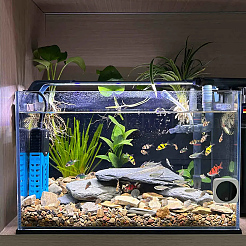 150 g 5 Stile natürliche gemischte Muschelperlen&nbsp;SSHEL-SC0001-50