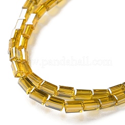 Fili di perle di vetro trasparenti galvanizzate&nbsp;EGLA-H106-01A-PL03