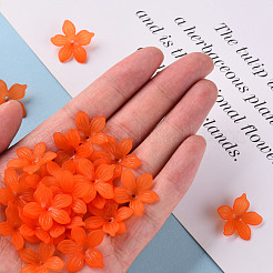 Coupelles en acrylique mat&nbsp;MACR-S371-05A-726