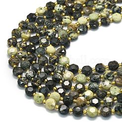 Fili di perle naturali di turchese africano (diaspro)&nbsp;G-C116-A23-02