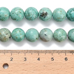 Natürliche peruanische türkisfarbene (Jaspis) Perlenstränge&nbsp;G-L642-B08-10mm