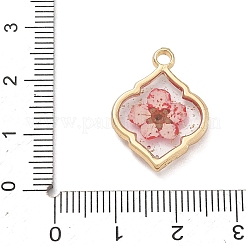 Pendentifs en résine époxy d'alliage&nbsp;AL-Z001-08G-06